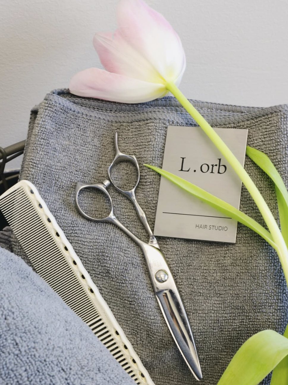 Studio tools &mdash; shears, comb, and tulip